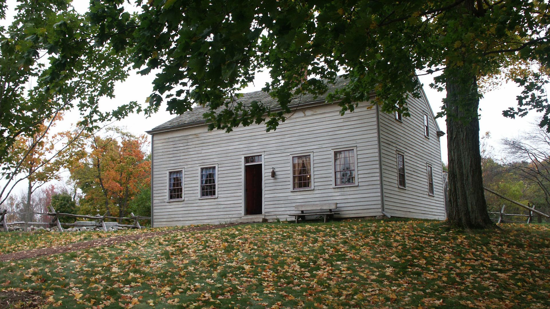 Sacred Grove